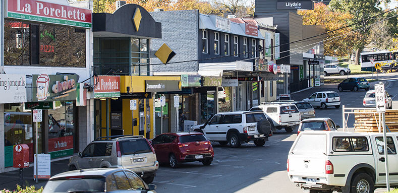 lilydale tinting